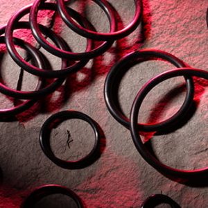 Phớt – Gioăng cao su – Oring – Seal Kalrez